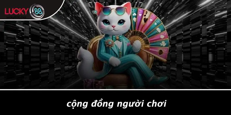 Cộng Đồng Người Chơi