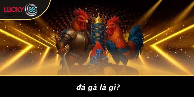 Đá Gà Là Gì?